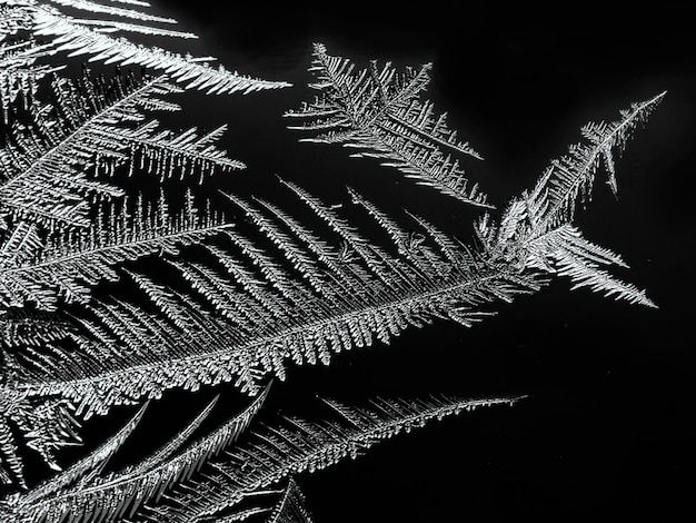 Fondo abstracto de invierno de navidad con copos de nieve y partículas de hielo