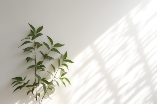 Fondo abstracto minimalista con sombras borrosas de hojas y plantas en la pared blanca