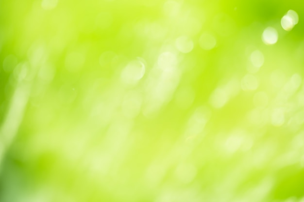 El fondo abstracto natural es de color verde