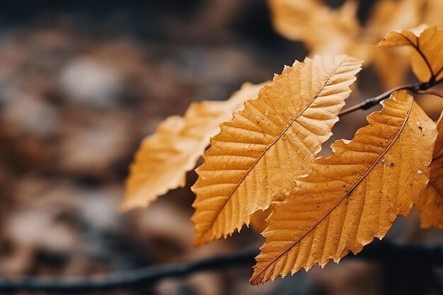 Fondo abstracto de otoño