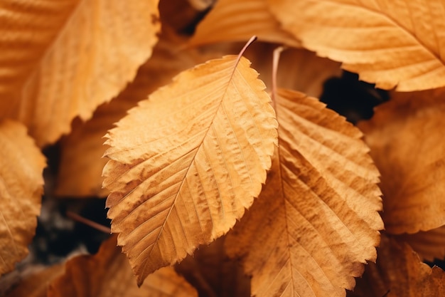 Fondo abstracto de otoño