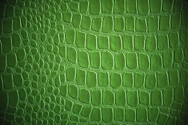 Fondo abstracto de piel de reptil verde.