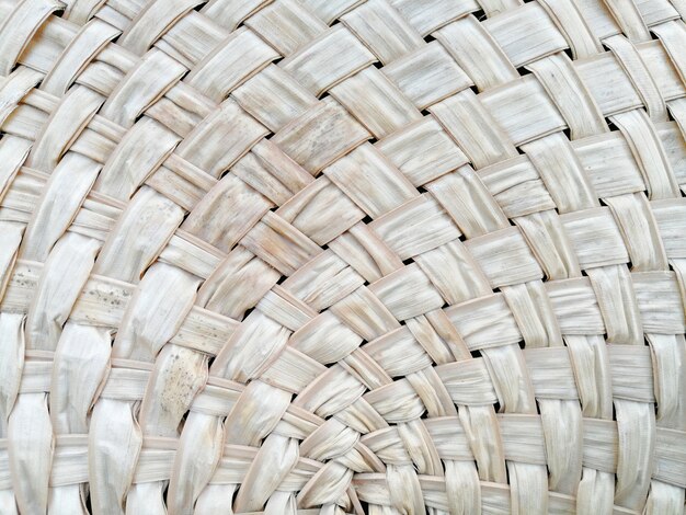 Foto fondo abstracto del ventilador de la mano de la hoja de palma secado cruzado de criss