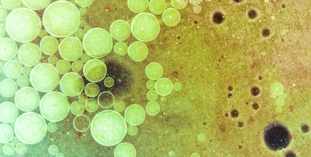 Foto un fondo abstracto verde y amarillo con las burbujas en él