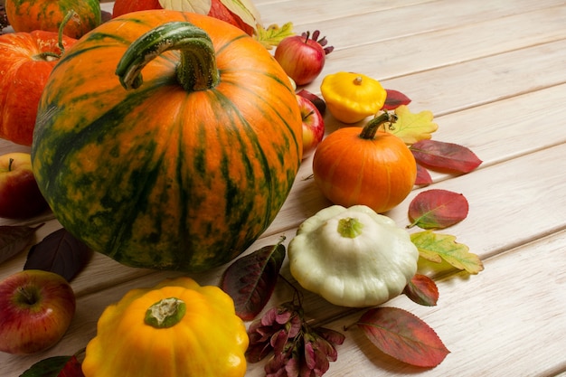 Fondo de acción de gracias con calabaza naranja a rayas verde calabaza amarilla y manzanas