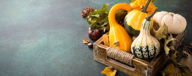 Fondo de acción de gracias de calabaza de otoño