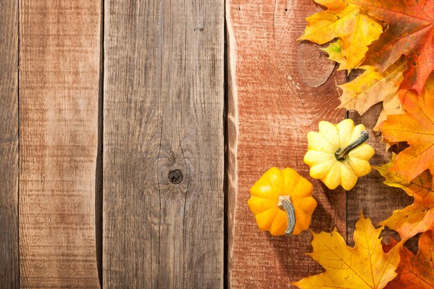 Fondo de acción de gracias con calabazas y hojas de arce