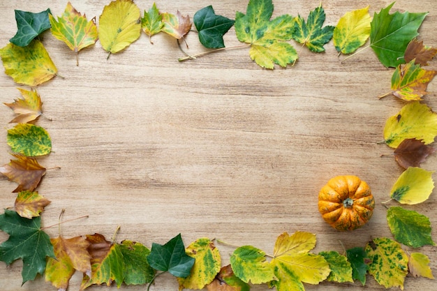 Fondo de acción de gracias con calabazas y hojas