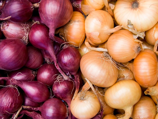 Foto fondo agrícola una pila de hermosas cebollas bulbo