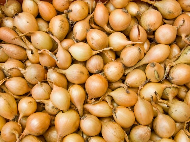 Foto fondo agrícola una pila de hermosas cebollas bulbo