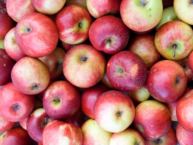 Foto fondo agrícola una pila de hermosas manzanas rojas