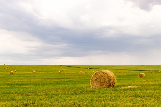 Fondo de agricultura agricultura con heno en Prado.