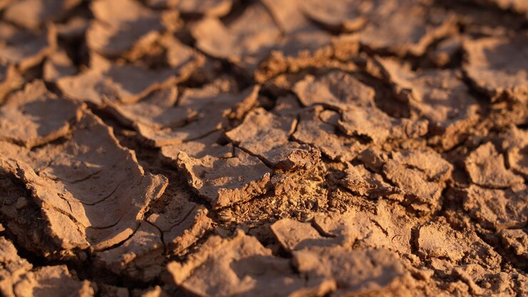 Fondo agrietado seco marrón en la vista superior efectos del calentamiento global
