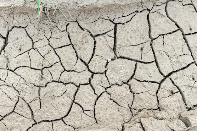 Fondo agrietado de la textura de la tierra secada, cierre para arriba.