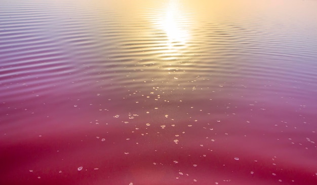 Fondo de agua de lago rosa con el brillo de la luz del sol al atardecer Cristales de sal flotando sobre el agua