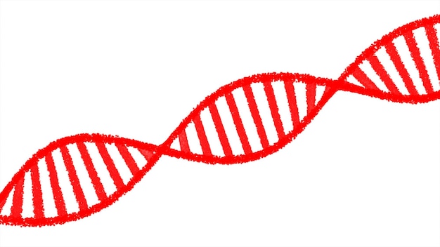 Fondo aislado de estructura de ADN de hebra de ADN rojo 3d