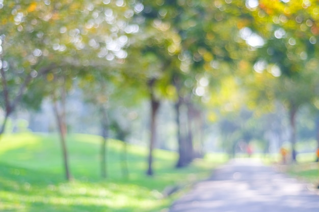 Fondo al aire libre de la naturaleza borrosa de la primavera