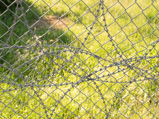 Fondo de alambre de púas