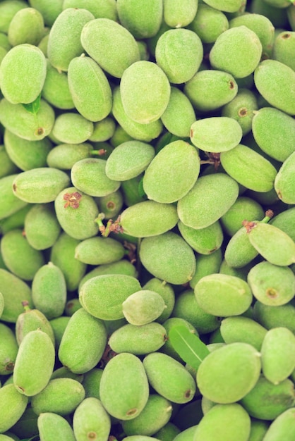 Fondo de albaricoques verdes