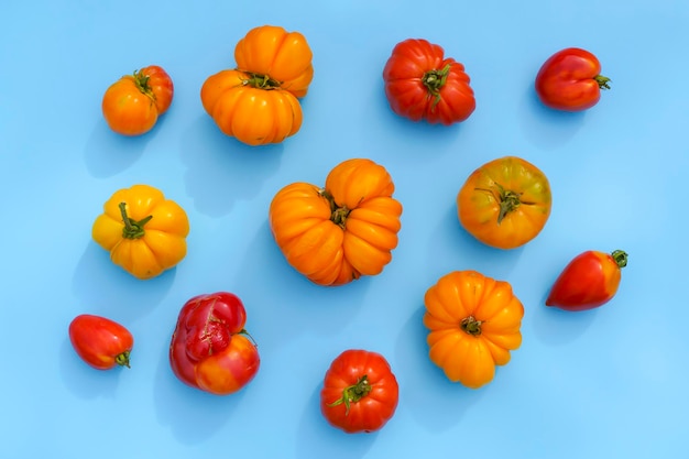 Fondo de alimentos de cosecha de otoño Verduras de granja orgánica sobre fondo azul Tomates amarillos maduros frescos