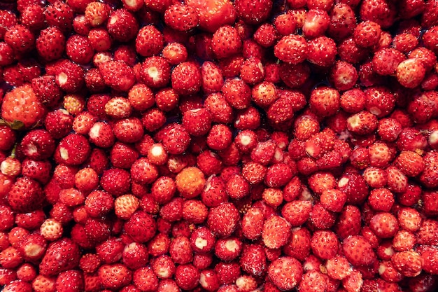 Fondo de alimentos naturales de fresas silvestres