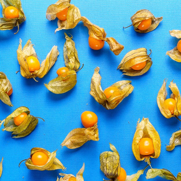 Fondo de alimentos con Physalis Scattere