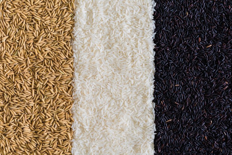 Fondo de alimentos con tres filas de variedades de arroz: arroz integral, arroz negro, arroz blanco (jazmín)