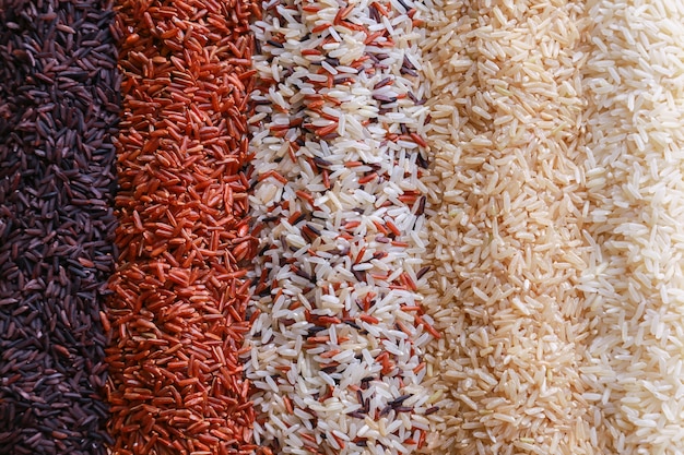 Fondo de alimentos con la vista superior de cinco filas de arroz.