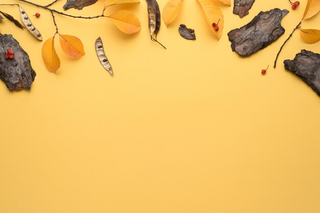 Fondo amarillo de otoño con un marco de hojas caídas y herbario