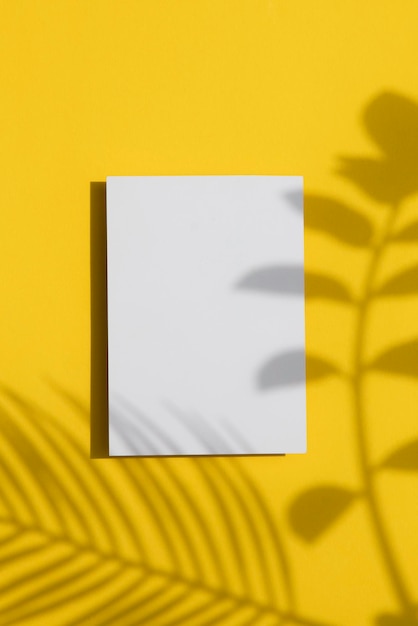 Fondo amarillo de verano Sombra de hoja tropical en una etiqueta blanca en blanco