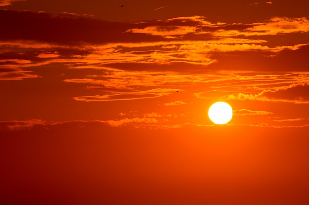 Fondo anaranjado del cielo de la puesta del sol en la tarde