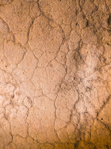 Foto fondo antiguo muro de piedra