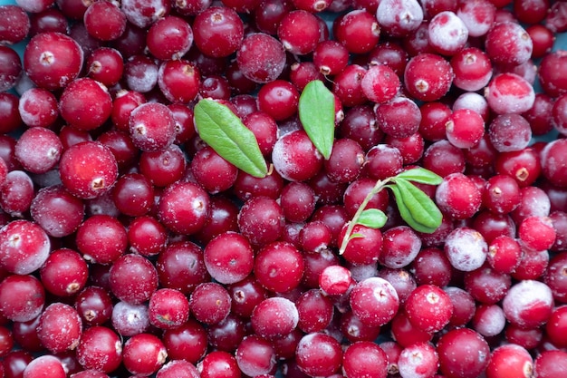 Fondo con arándanos congelados para el cartel Vitaminas y antioxidantes naturales