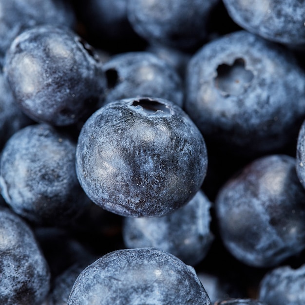 Fondo de arándanos orgánicos naturales frutas recién cosechadas macro de arándanos frescos maduros