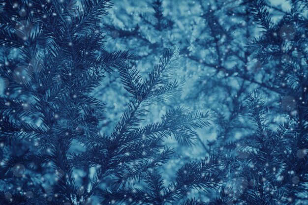 Foto fondo de árbol de navidad azul oscuro