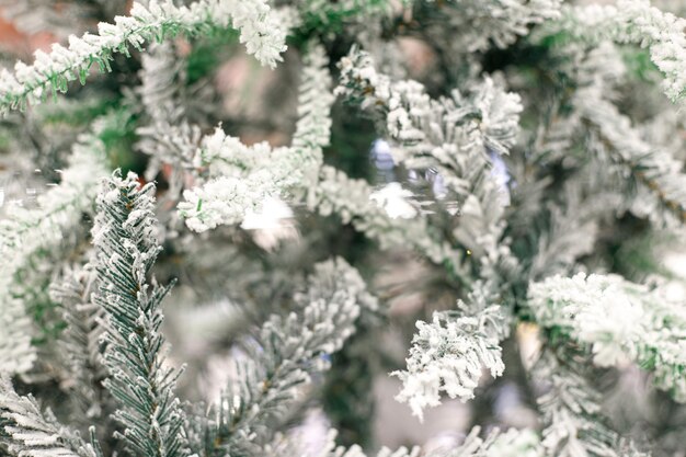 Fondo de árbol de Navidad con nieve Enfoque selectivo