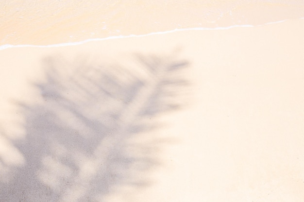 Fondo de arena blanca con una sombra de una hoja de palma en la orilla del mar al borde del agua