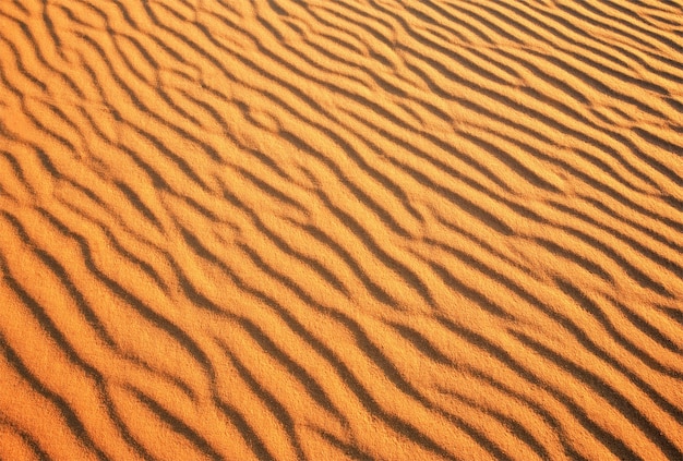 Fondo de arena del desierto. Desierto dorado hacia la puesta de sol