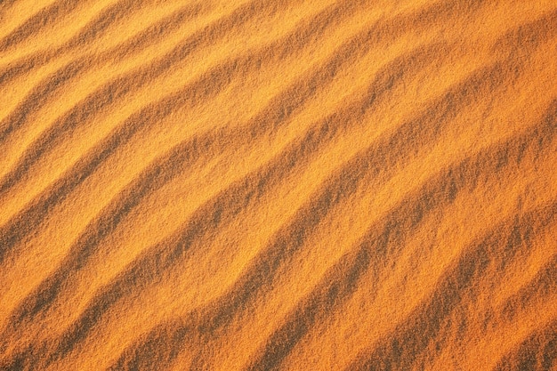 Fondo de arena del desierto. Desierto dorado hacia la puesta de sol