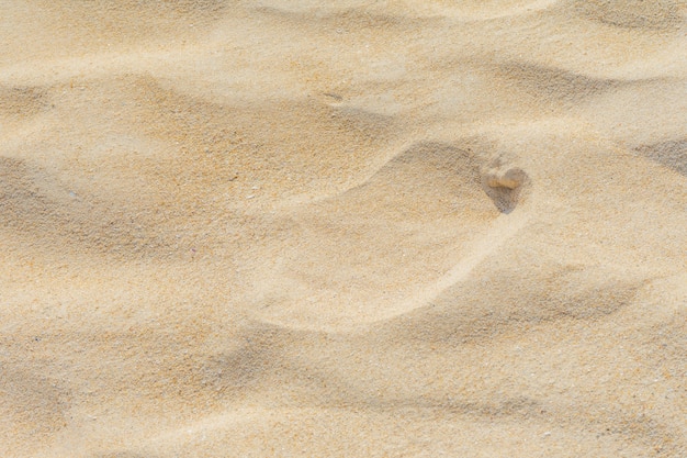 Fondo de arena de mar de playa