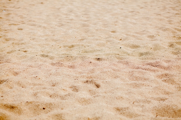 Fondo de arena de playa fina