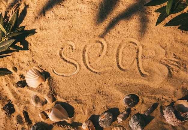 Fondo de arena Vacaciones de verano Fin de semana exótico Resort de playa Palabra de escritura con los dedos del mar en el marco de la composición de la naturaleza de hojas verdes de piedra de concha marina en la superficie dorada