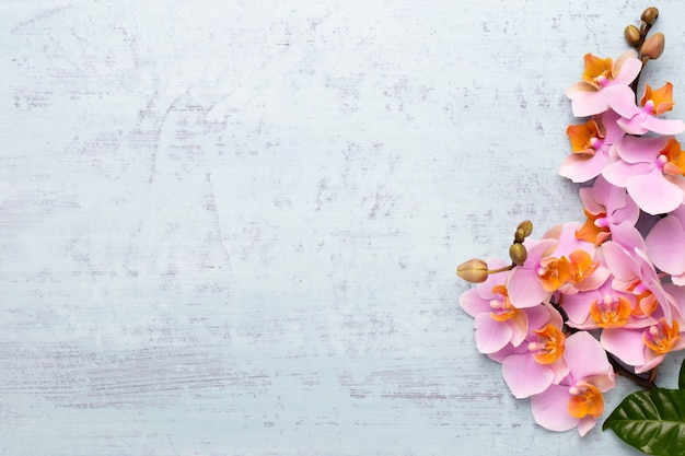 Fondo de aromaterapia Spa, plano de varios productos de belleza decorados con flores de orquídeas simples.