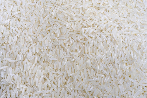 Fondo de arroz molido