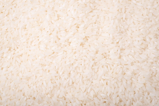 Fondo de arroz recién cosechado