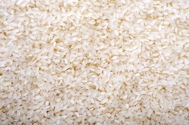 Foto fondo de arroz