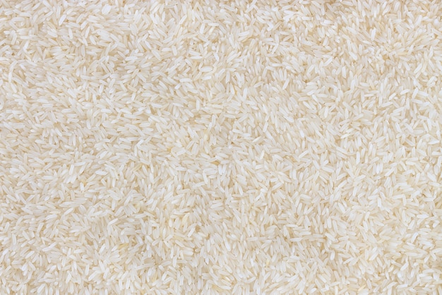 fondo de arroz