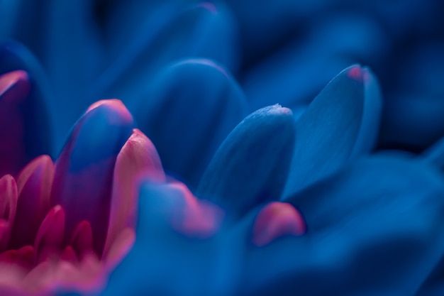 Fondo de arte floral abstracto con flores margaritas azules ... Más @ freepik.es