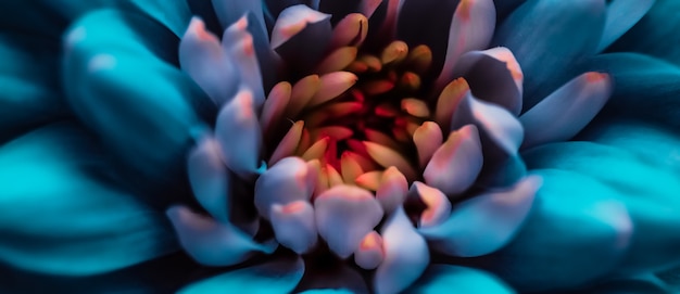 Fondo de arte floral abstracto con flores margaritas azules ...