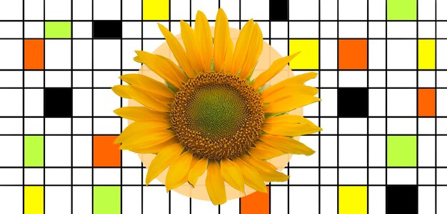 Fondo de arte geométrico de girasol